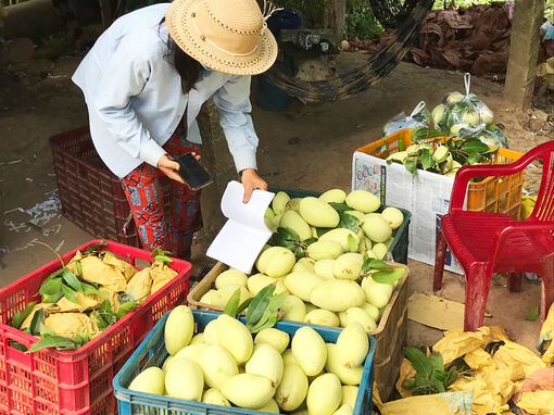 Sản xuất nông nghiệp ứng dụng công nghệ cao