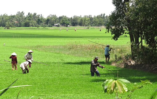 Ý kiến đóng góp dự thảo Luật Đất đai (sửa đổi)