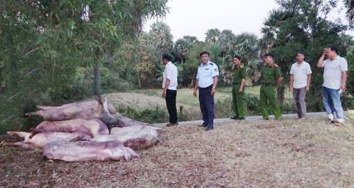 Bảo vệ an ninh trật tự vùng biên giới