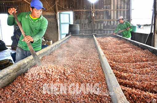 Kiên Giang: Sản phẩm OCOP gập ghềnh đường vào siêu thị