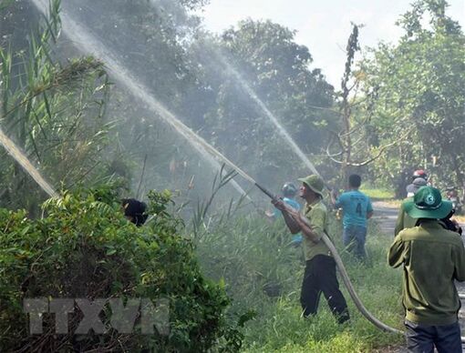 Cà Mau: Chủ động phòng, chống cháy rừng U Minh Hạ trong mùa khô