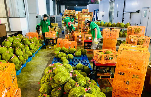 Lắng nghe và chia sẻ với doanh nghiệp
