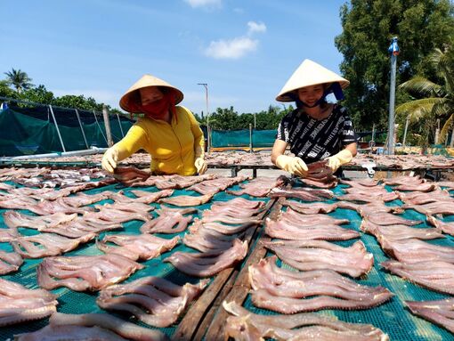 An Giang: Mục tiêu cao, quyết tâm lớn