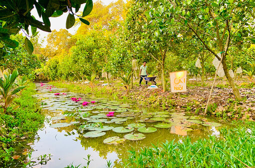 Uống cà-phê, bàn chuyện nhà nông