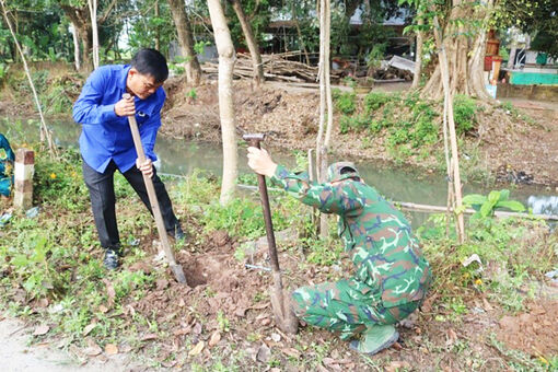 Ra quân thực hiện mô hình “Đường hoa, xóm đẹp” ở xã Bình Hòa