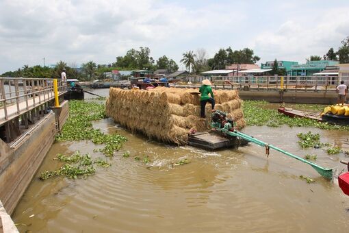 Giải pháp phòng, chống hạn, xâm nhập mặn cho người dân Bạc Liêu