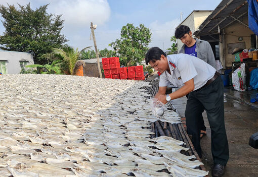 Kiểm tra an toàn thực phẩm trên địa bàn huyện Chợ Mới