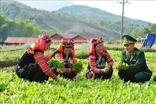 Triển khai Chương trình dân tộc thiểu số và miền núi phải có trọng tâm, trọng điểm