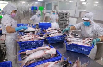 Quy định về kiểm tra, chứng nhận an toàn thực phẩm thủy sản xuất khẩu