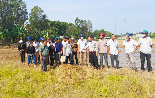 Tập huấn phương pháp canh tác lúa thân thiện với môi trường