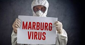 Bệnh nhân Tây Ban Nha nghi nhiễm virus Marburg có kết quả âm tính