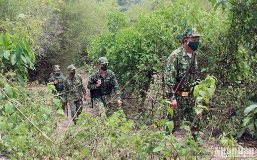 Kiên quyết ngăn chặn tội phạm ma túy trên các tuyến biên giới