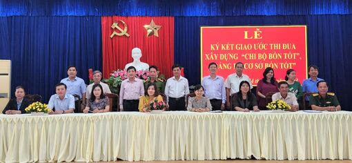 Thi đua xây dựng, phát triển quê hương An Giang