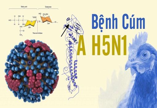 WHO cung cấp 3.000 liều thuốc Tamiflu cho Campuchia
