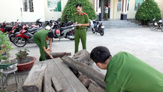 Bắt điểm tập kết gỗ nghi vấn nhập lậu trên khu vực biên giới An Phú