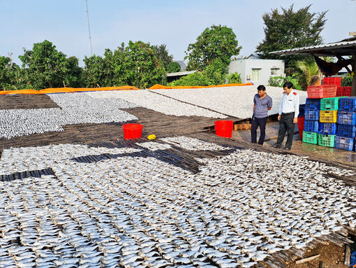 Tăng cường trách nhiệm, đảm bảo an toàn thực phẩm