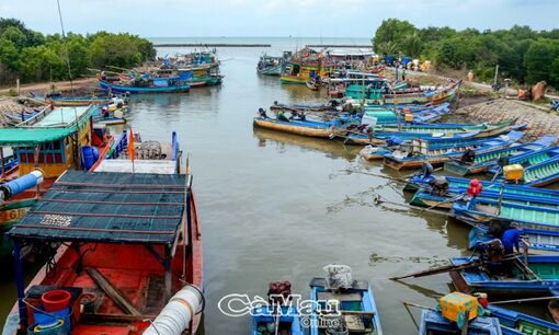 Cà Mau: Vì nghề biển của thế hệ sau