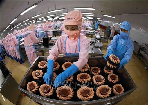 Tận dụng lợi thế để xuất khẩu tôm đạt mục tiêu năm 2023