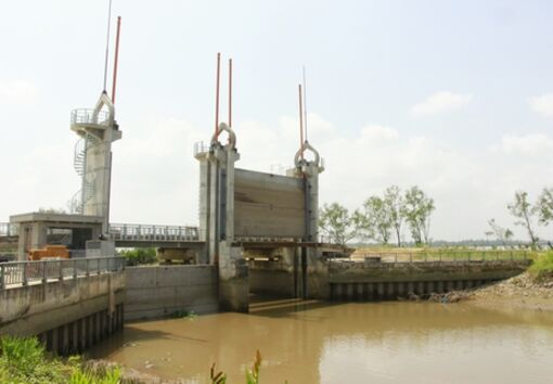 Vĩnh Long: Chủ động ứng phó với xâm nhập mặn