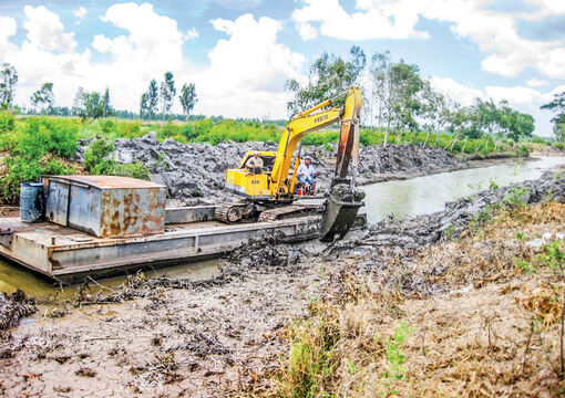 Cần Thơ: Khẩn trương ứng phó với hạn mặn