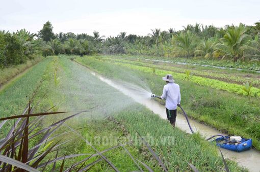 Trà Vinh: Cầu Kè năm 2023 tập trung nâng cao chất lượng nông sản và xây dựng OCOP