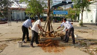 Bí thư Huyện ủy Tri Tôn trồng cây xanh tại trường học