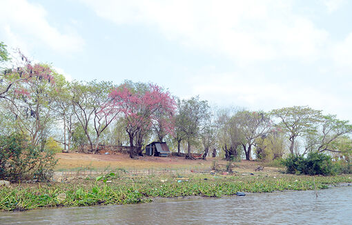 Sắc màu ô môi!