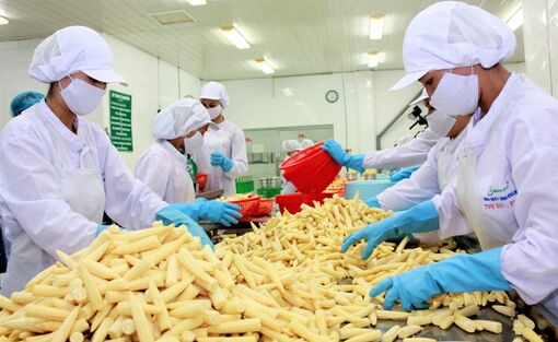 Chiến lược xuất khẩu của An Giang đến năm 2030