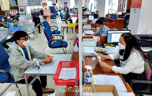 Cà Mau: Phát triển nguồn nhân lực công nghệ thông tin