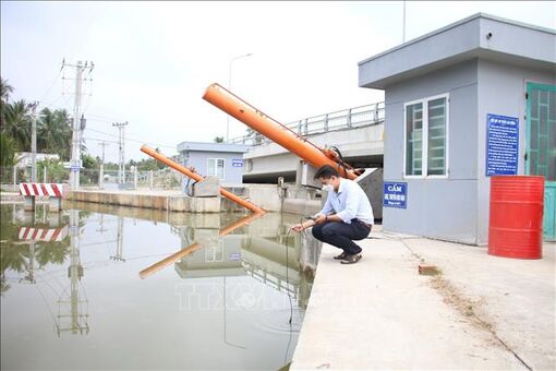 Kiểm tra nồng độ mặn của nước trước khi tưới cây