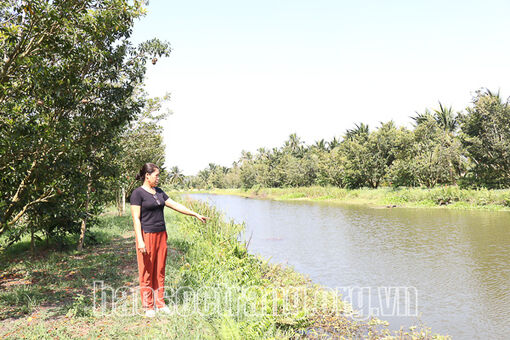 Sóc Trăng triển khai phương án phòng, chống hạn, mặn mùa khô