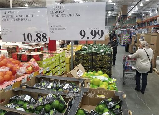 Canada: Lạm phát tiếp tục hạ nhiệt trong tháng 2/2023