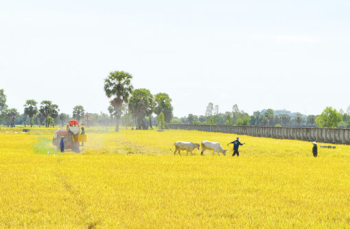 Vùng biên giới An Giang có nắng nóng đến 36<sup>o</sup>C