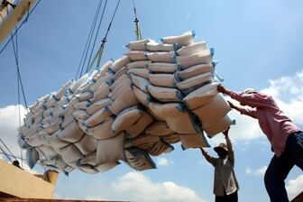 Indonesia muốn nhập 2 triệu tấn gạo, doanh nghiệp Việt Nam tận dụng cơ hội thế nào?