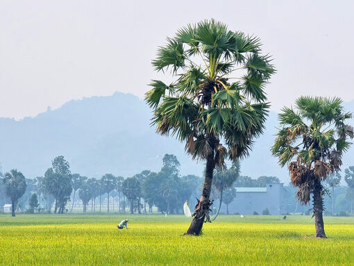 Bảy Núi mùa vắng những cơn mưa