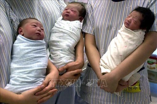Thế giới tránh được sụp đổ toàn diện về sinh thái vì 'bom dân số' có thể không phát nổ