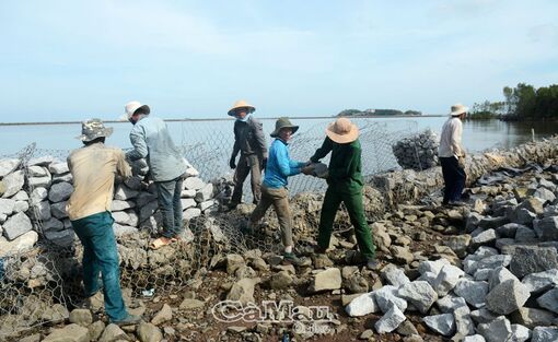 Cà Mau: Ưu tiên nguồn lực đầu tư phòng, chống thiên tai tại những nơi bức xúc