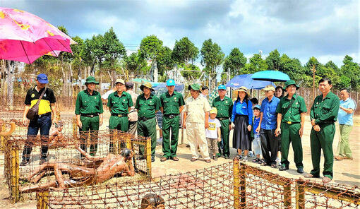 Thành đoàn và Hội Cựu Chiến binh TP. Châu Đốc tổ chức “Hành trình địa chỉ đỏ”