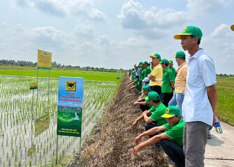 Chương trình canh tác lúa thông minh của Bình Điền được Bộ Nông nghiệp và Phát triển nông thôn đưa vào đề án 1 triệu ha chuyên canh lúa chất lượng cao gắn với tăng trưởng xanh tại đồng bằng sông Cửu Long.