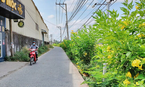 Long An: Bí thư Chi bộ 'khéo' trong công tác dân vận