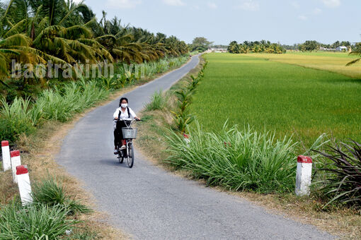 Trà Vinh: Phước Hưng xây dựng nông thôn mới theo hướng “tam nông”