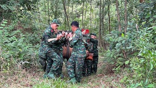 Đẩy mạnh các hoạt động hỗ trợ, giúp đỡ nạn nhân của bom mìn