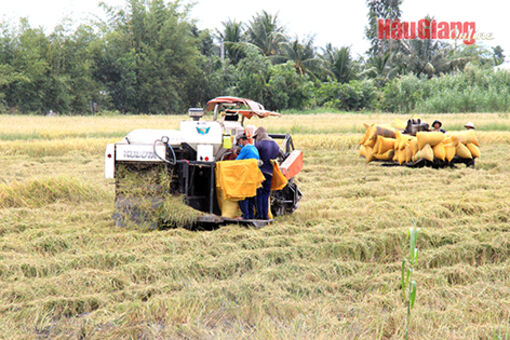 Hậu Giang: Chủ động nguồn nước sản xuất và sinh hoạt trong mùa khô hạn