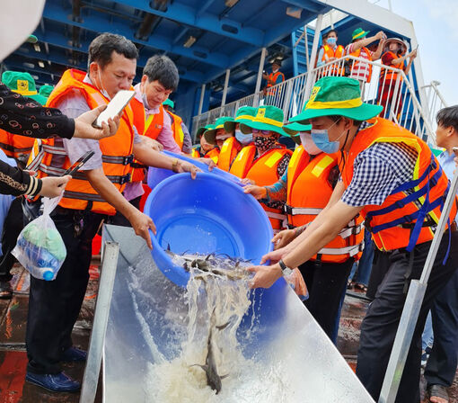 Nâng cao ý thức bảo vệ nguồn lợi thủy sản