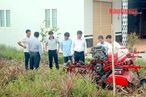 Hậu Giang: Chiếc máy hữu ích cho người trồng khóm