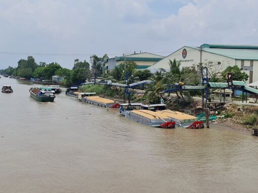 Tăng cường liên kết vụ hè thu