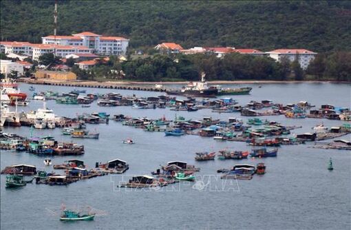 Kiên Giang: Tổng sản lượng khai thác và nuôi trồng thủy sản giảm hơn 11%