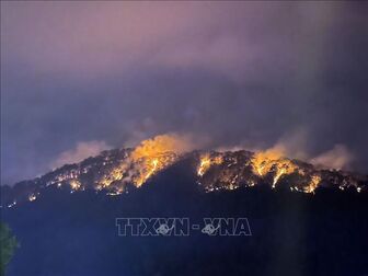 Nỗ lực dập đám cháy rừng trên đèo Prenn, Đà Lạt