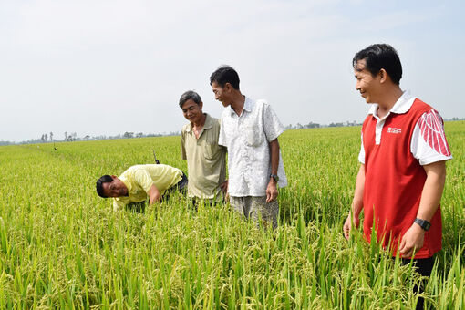 Nông dân thị trấn Vĩnh Bình năng động, sáng tạo trong sản xuất - kinh doanh