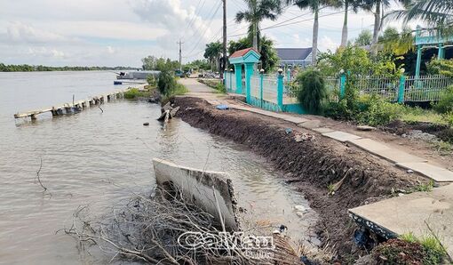 Cà Mau: Hành động để ứng phó với biến đổi khí hậu